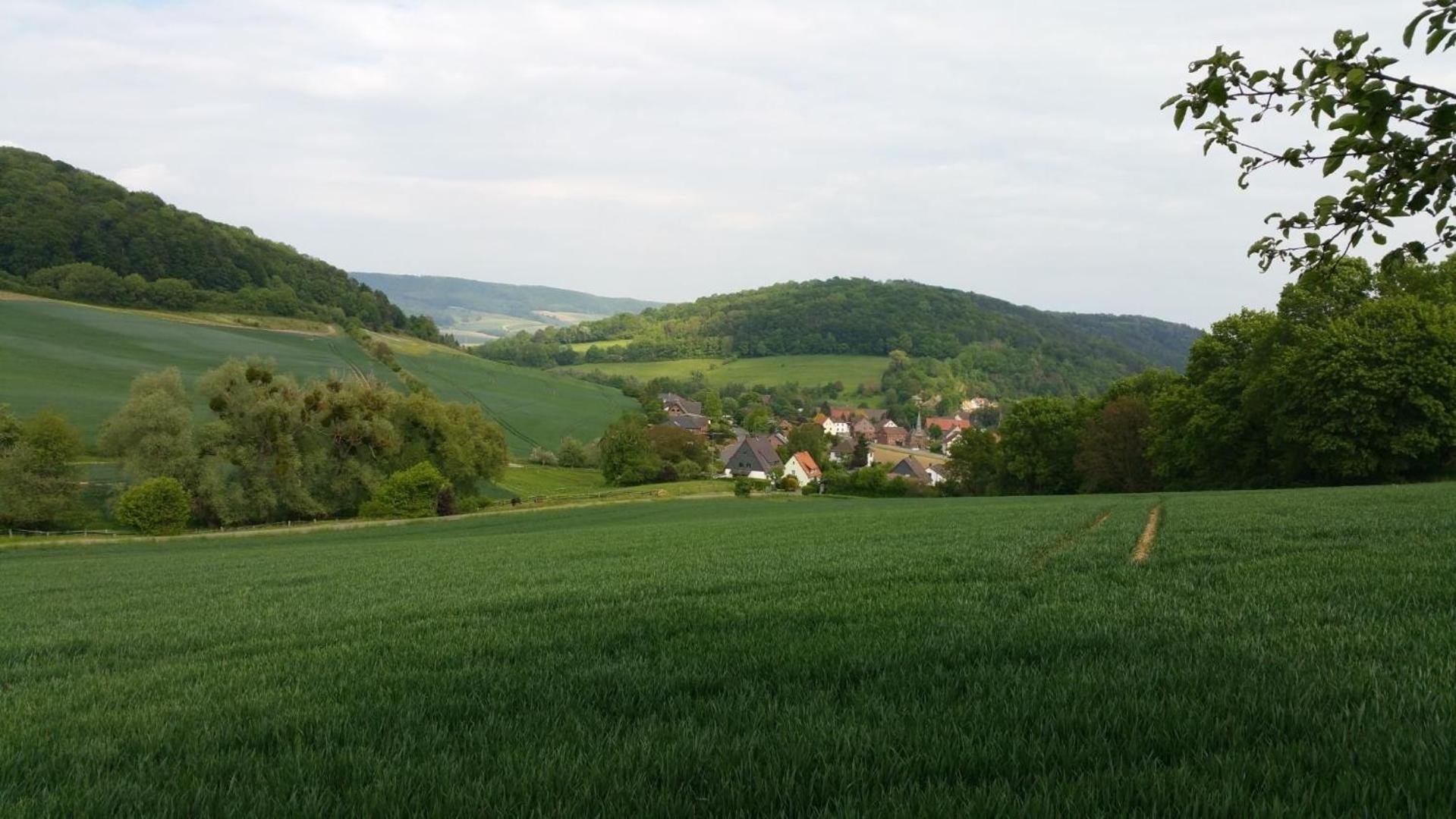 Urlaub Mit Hund In Bodenwerder Leilighet Eksteriør bilde